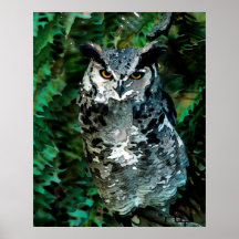 Athena's owl takes care print