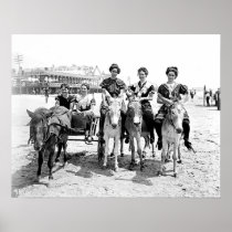 Atlantic City Donkey Rides Poster