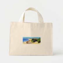 atlantic coast beach bag