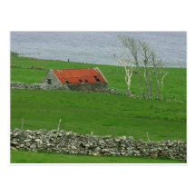 Atlantic Coast Pasture, Ireland Post Card