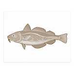 atlantic codfish haddock fish postcards