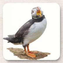 Atlantic Puffin Cork Coaster