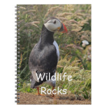 Atlantic Puffin Notebook