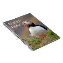 Atlantic Puffin Notebook