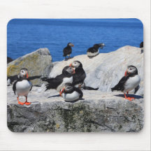 Atlantic Puffins at Machias Seal Island Mouse Pads