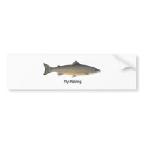 Atlantic Salmon Bumper Stickers
