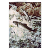 Atlantic Salmon