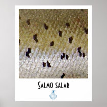 Atlantic Salmon FFF Poster