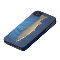 Atlantic Salmon- iPhone 4/4S Cover Case-mate Iphone 4 Cases