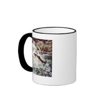 Atlantic Salmon Mugs
