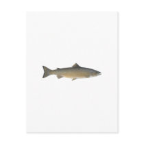 Atlantic Salmon Postcard
