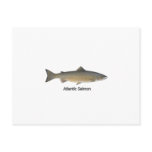 Atlantic Salmon (titled) Post Cards