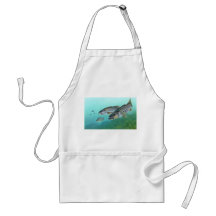 Atlantic Striped Bass Fish Morone Saxatilis Aprons