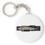 Atlantic Sturgeon - Acipenser oxyrinchus keychains