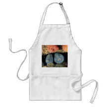 Atlantic Wolffish Aprons