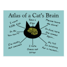 Atlas du cerveau d'un chat cartes postales