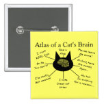 Atlas Of a Cat's Brain Pinback Button