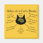 Atlas Of a Cat's Brain Refrigerator Magnets