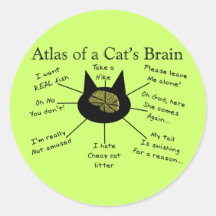 Atlas Of a Cat's Brain Round Stickers