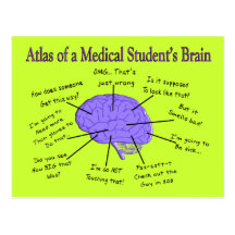 Atlas of a Medical Student's Brain #2 Post Card
