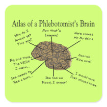 Atlas of a Phlebotomist's Brain Square Stickers