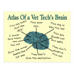 Atlas of a Vet Tech's Brain Post Card