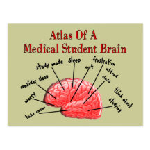 Atlas of Medical Student Brain Postcards