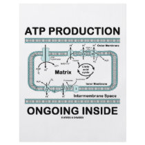 ATP Production Ongoing Inside