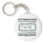 ATP Production Ongoing Inside