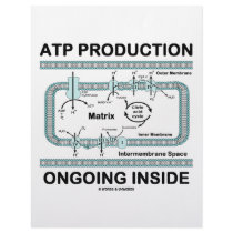 ATP Production Ongoing Inside