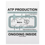 ATP Production Ongoing Inside letterhead