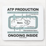 ATP Production Ongoing Inside