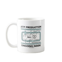ATP Production Ongoing Inside Mug