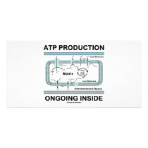 ATP Production Ongoing Inside