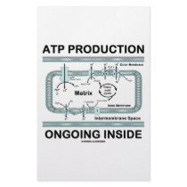 ATP Production Ongoing Inside