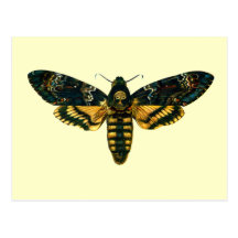 Atropos d'Acherontia Cartes Postales