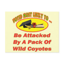 Attacked By Coyotes Post Cards