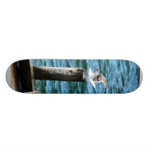 Atterrissage de mouette skateboards cutomisables