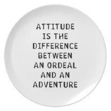 Attitude Difference Plates
