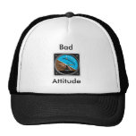 Attitude Indicator, Bad, Attitude Hat