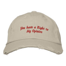 Attitude is everything embroidered hats