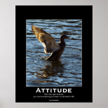 Attitude Mallard Duck Motivational Posters