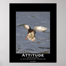 Attitude Mallard Duck Motivational Posters