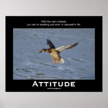 Attitude Mallard Duck Motivational Posters