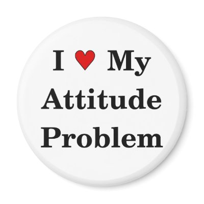 Attitude Problem Magnet by yarddawg