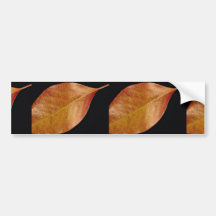 Attractive Black cherry leaf Bumper Stickers