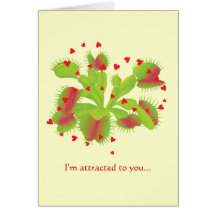 Attrape-mouche de Vénus Valentine Carte