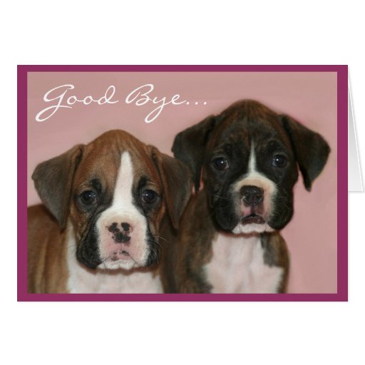 Au revoir carte de voeux de chiots de boxeur