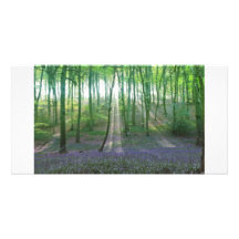 Aube de ressort cartes de vœux avec photo