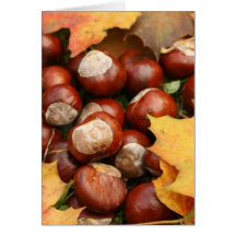 auburn greeting cards